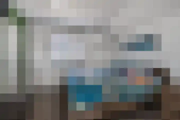 Het Aarkeland 39 Rossum thumbnail 20