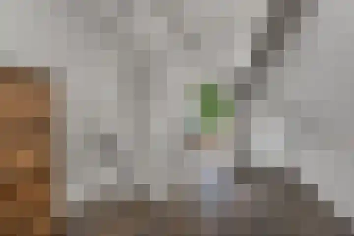 Het Aarkeland 39 Rossum thumbnail 23