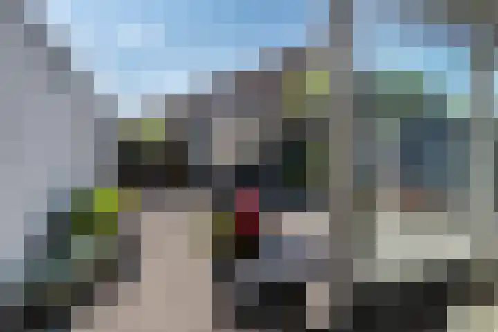 Het Aarkeland 39 Rossum thumbnail 28