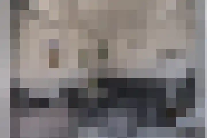 Het Aarkeland 39 Rossum thumbnail 31