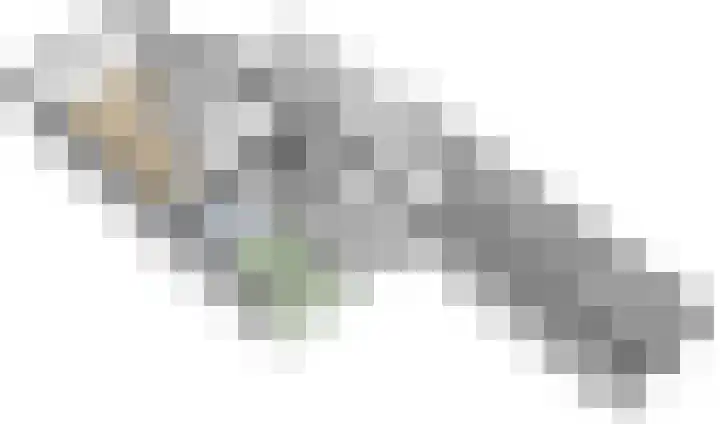 Het Aarkeland 39 Rossum thumbnail 38