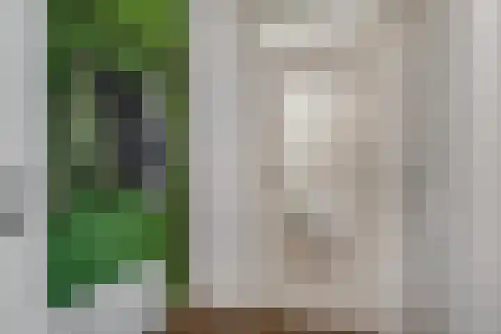 Het Aarkeland 39 Rossum thumbnail 7
