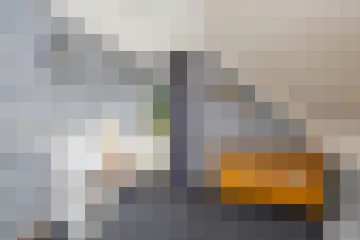 Het Achterom 16 Schagerbrug thumbnail 23