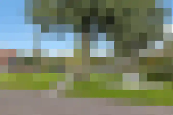 Het Achterom 16 Schagerbrug thumbnail 43