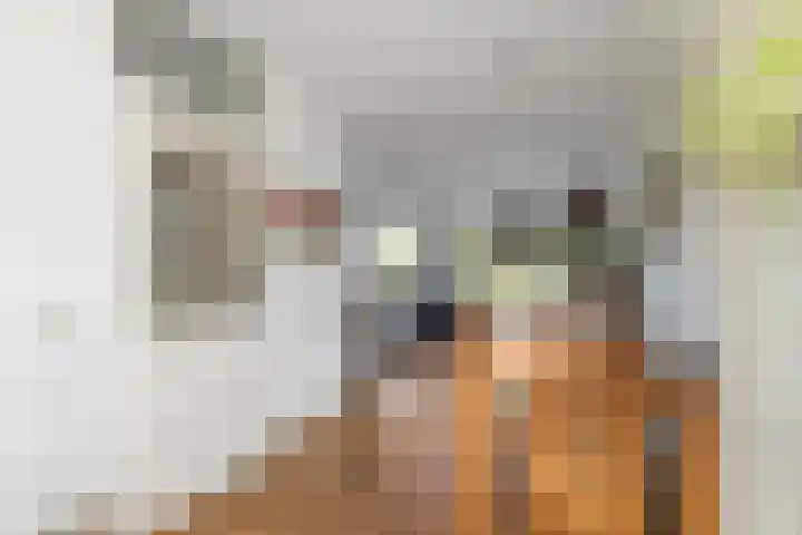 Het Achterom 16 Schagerbrug thumbnail 8