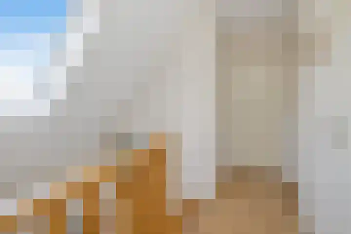 Het Achterom 5 Schagerbrug thumbnail 18
