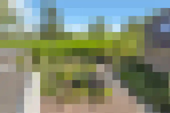 Het Achterom 5 Schagerbrug thumbnail 32