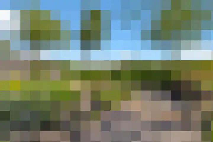 Het Achterom 5 Schagerbrug thumbnail 35