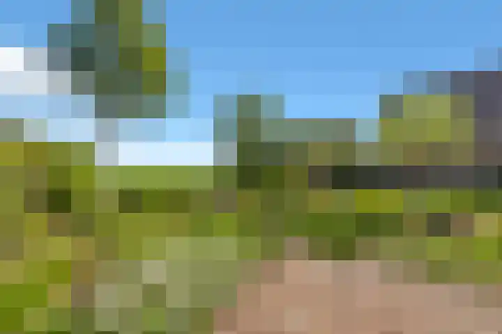 Het Achterom 5 Schagerbrug thumbnail 36