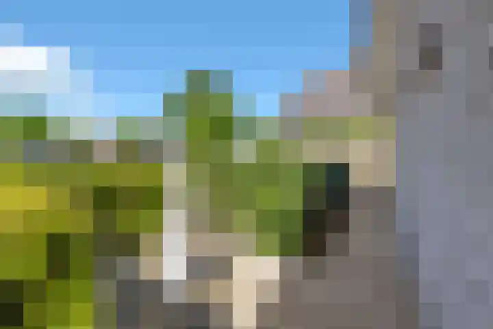 Het Achterom 5 Schagerbrug thumbnail 39