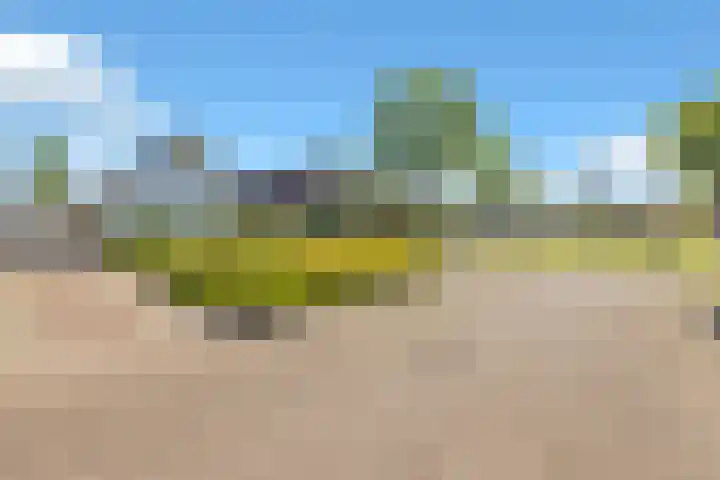 Het Achterom 5 Schagerbrug thumbnail 41