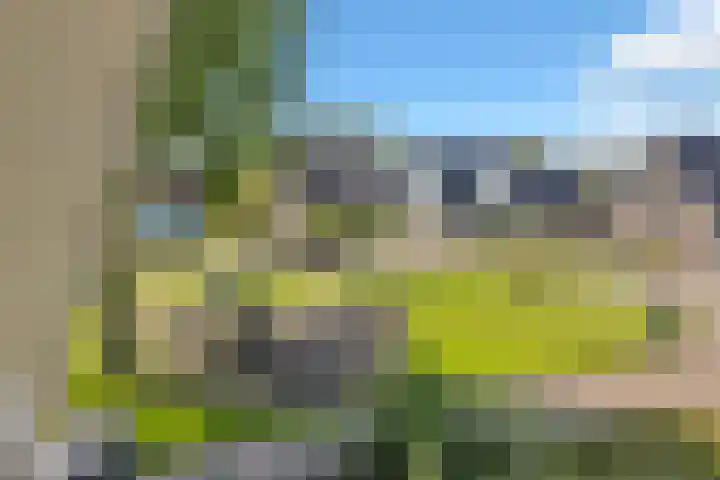 Het Achterom 5 Schagerbrug thumbnail 42