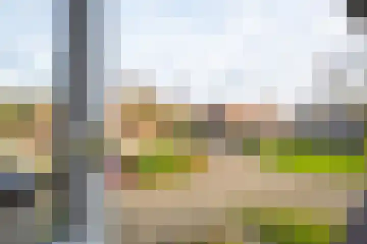 het Achterveld 14 Tiel thumbnail 60