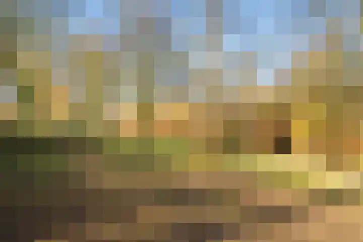 het Achterveld 14 Tiel thumbnail 70
