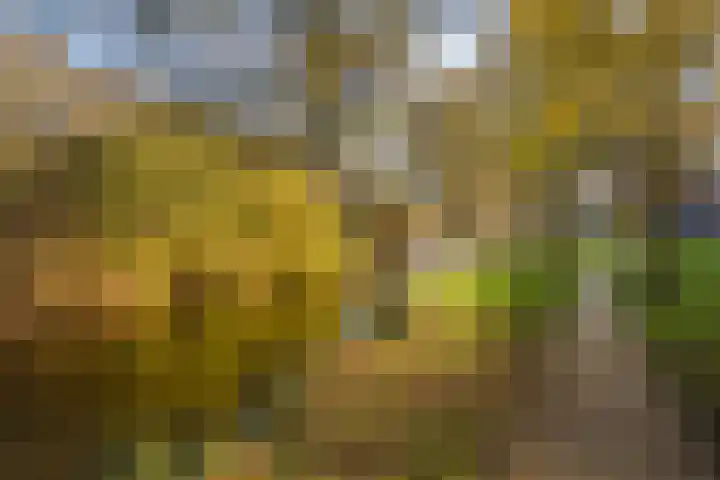 het Achterveld 14 Tiel thumbnail 71