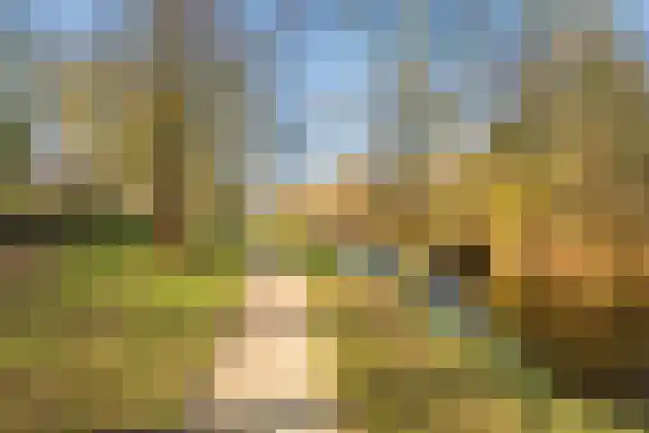 het Achterveld 14 Tiel thumbnail 72