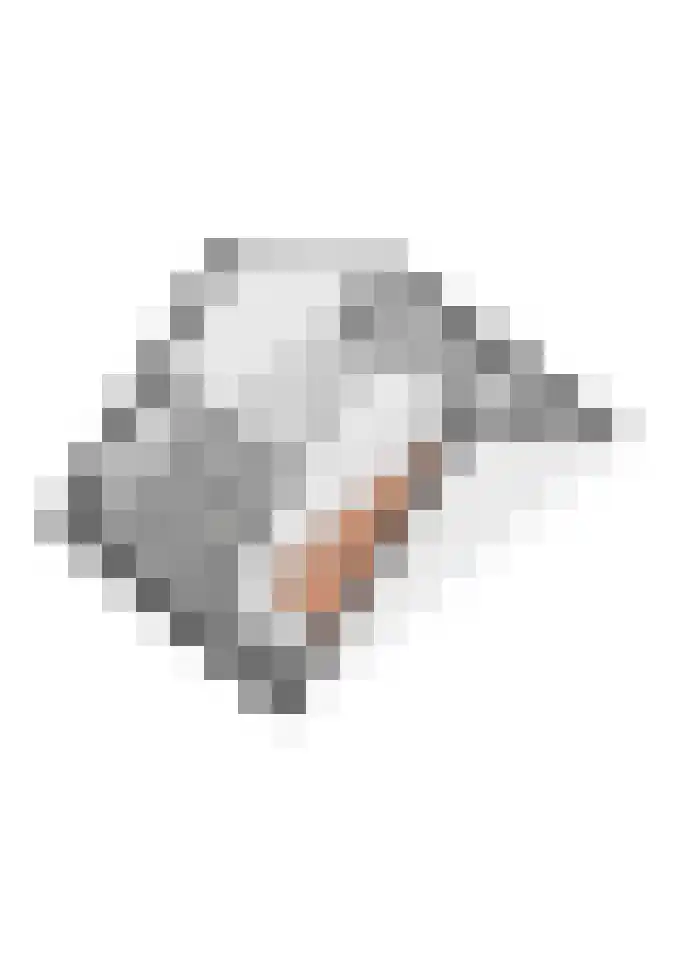 het Achterveld 14 Tiel thumbnail 78