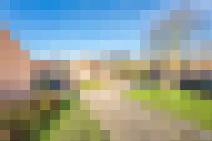 het Achterveld 14 Tiel thumbnail 8