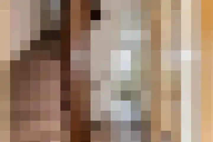 het Achterveld 253 Tiel thumbnail 26