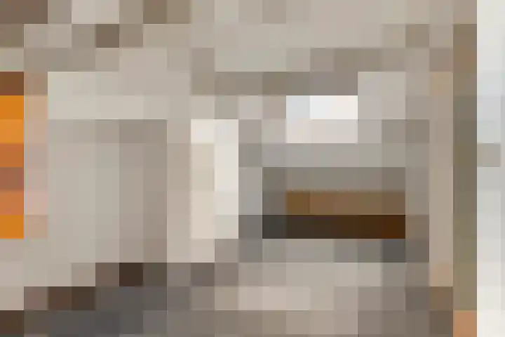 het Achterveld 253 Tiel thumbnail 28