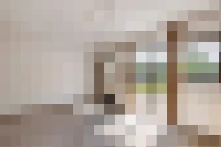 het Achterveld 253 Tiel foto 3