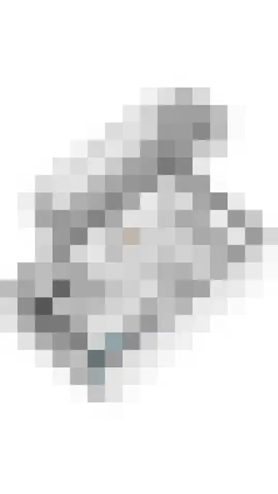 het Achterveld 253 Tiel thumbnail 39