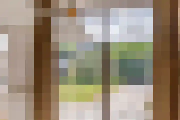 het Achterveld 253 Tiel thumbnail 8