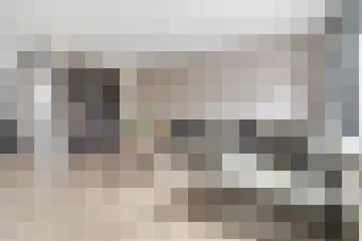 het Adelsgoor 4 Losser thumbnail 10
