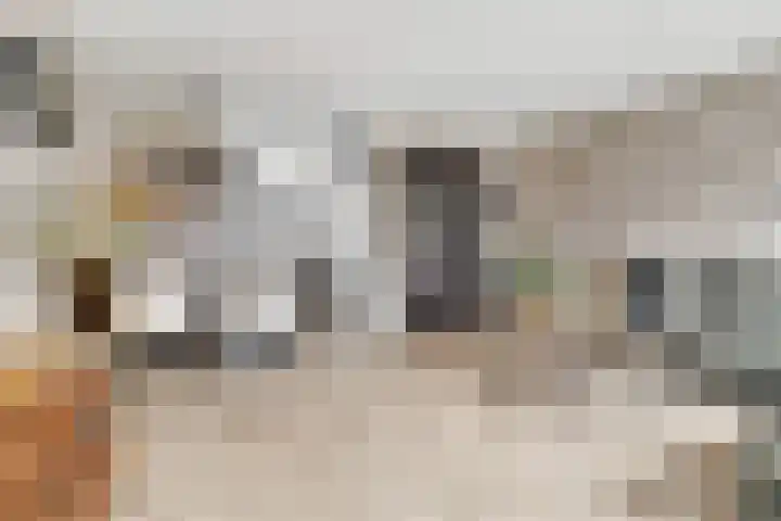 het Adelsgoor 4 Losser thumbnail 12