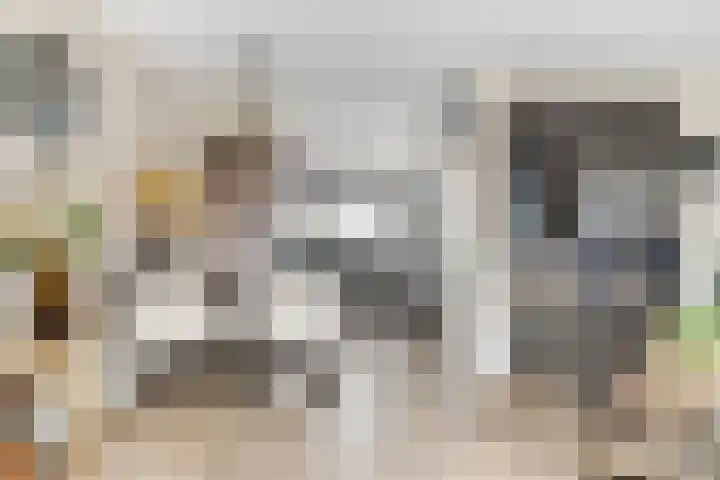 het Adelsgoor 4 Losser thumbnail 15