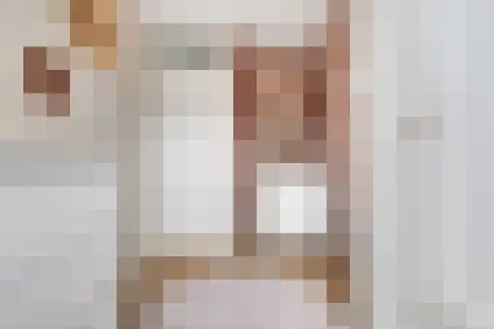 het Adelsgoor 4 Losser thumbnail 27