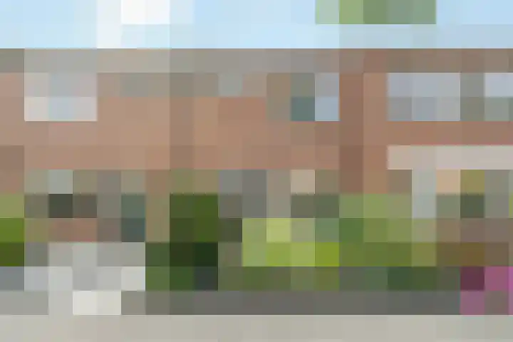 het Adelsgoor 4 Losser thumbnail 44