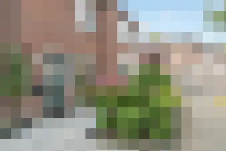 het Adelsgoor 4 Losser thumbnail 45