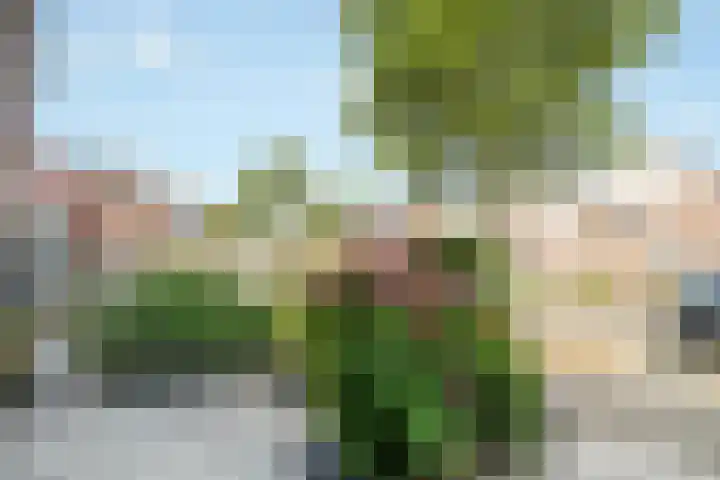 het Adelsgoor 4 Losser thumbnail 6