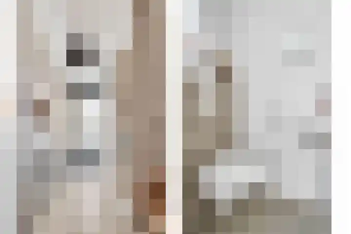 het Adelsgoor 4 Losser thumbnail 8