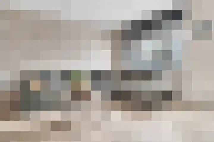 het Adelsgoor 4 Losser thumbnail 9