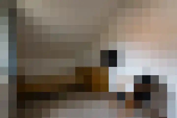 Het Ambacht 2 Brunssum thumbnail 30