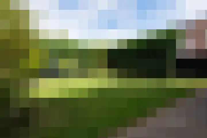 Het Ambacht 2 Brunssum thumbnail 33