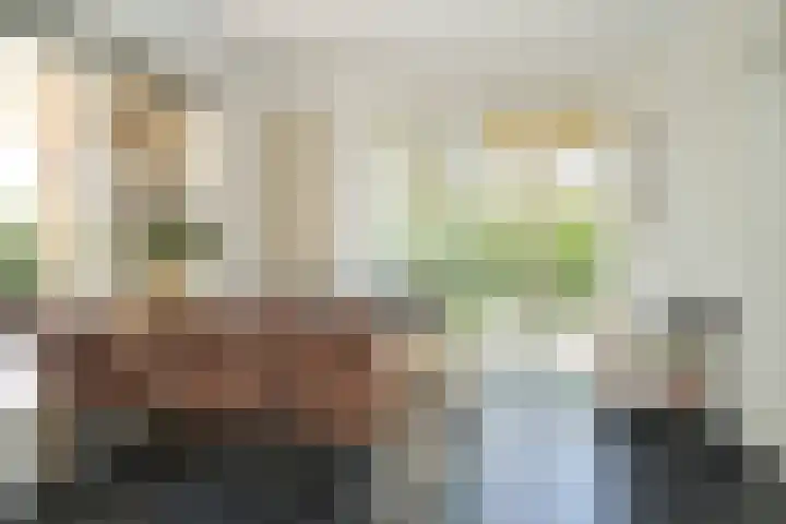 het Ambacht 7 Beneden-Leeuwen thumbnail 10