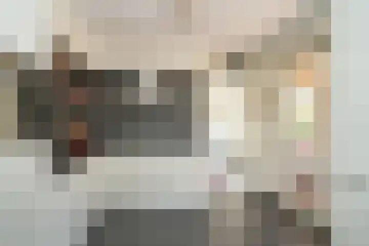 het Ambacht 7 Beneden-Leeuwen thumbnail 12