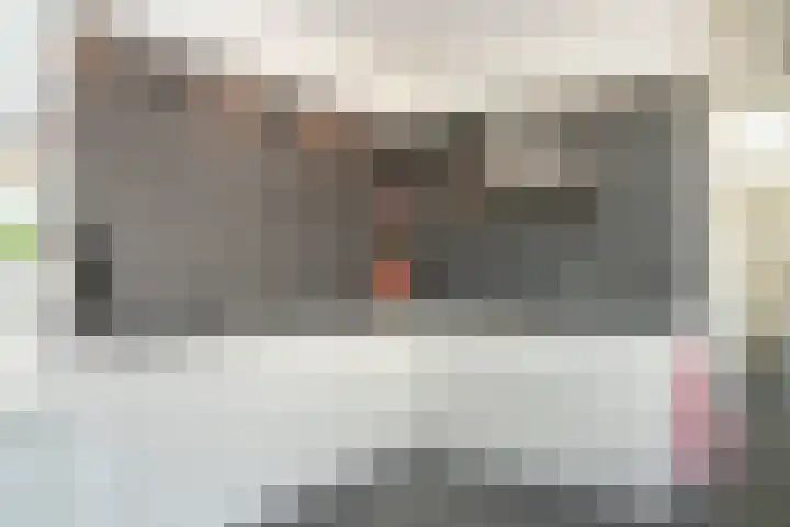 het Ambacht 7 Beneden-Leeuwen thumbnail 13