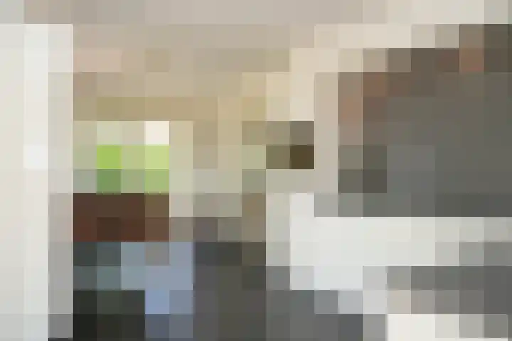 het Ambacht 7 Beneden-Leeuwen thumbnail 15