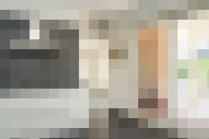het Ambacht 7 Beneden-Leeuwen thumbnail 17