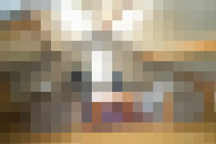 het Ambacht 7 Beneden-Leeuwen thumbnail 34