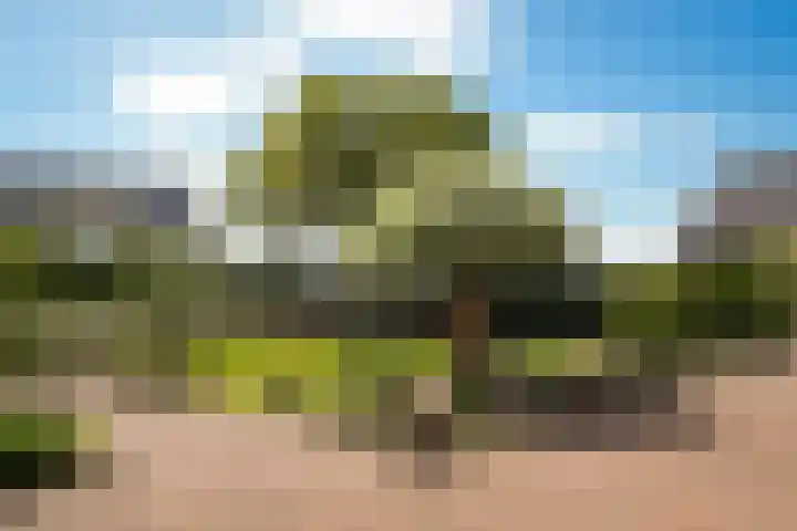 het Ambacht 7 Beneden-Leeuwen thumbnail 36