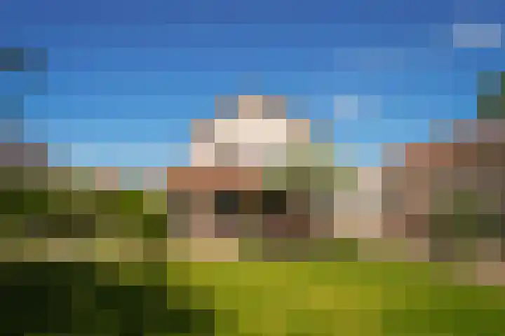 het Ambacht 7 Beneden-Leeuwen thumbnail 37