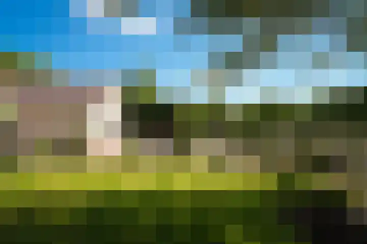 het Ambacht 7 Beneden-Leeuwen thumbnail 38
