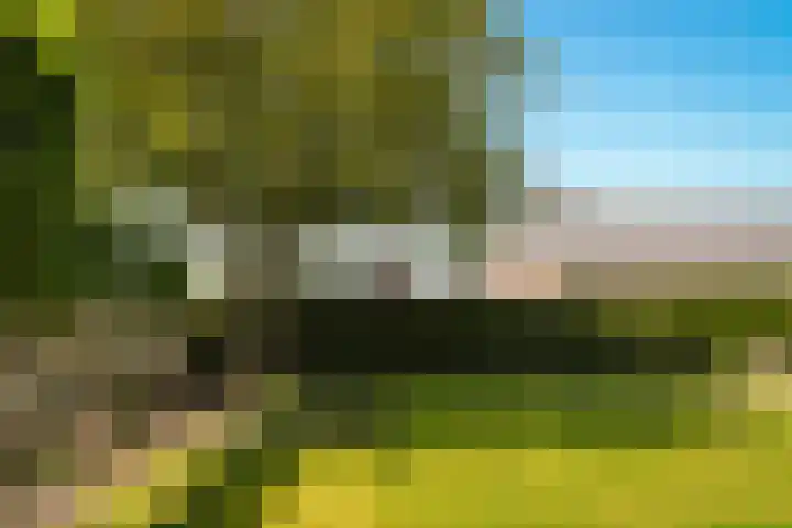 het Ambacht 7 Beneden-Leeuwen thumbnail 42