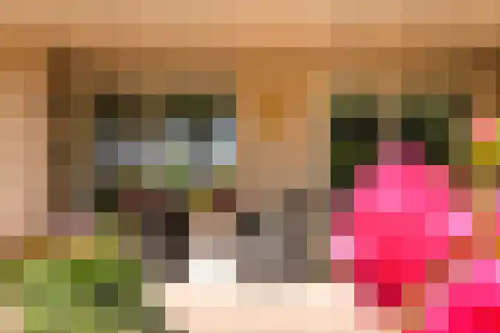 het Ambacht 7 Beneden-Leeuwen thumbnail 45