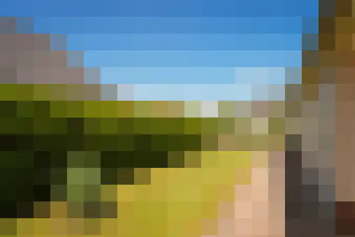 het Ambacht 7 Beneden-Leeuwen thumbnail 47